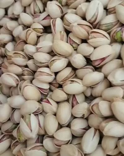 پسته فندقی دستچین لوکس + مخصوص صادرات قیمت و خرید عمده